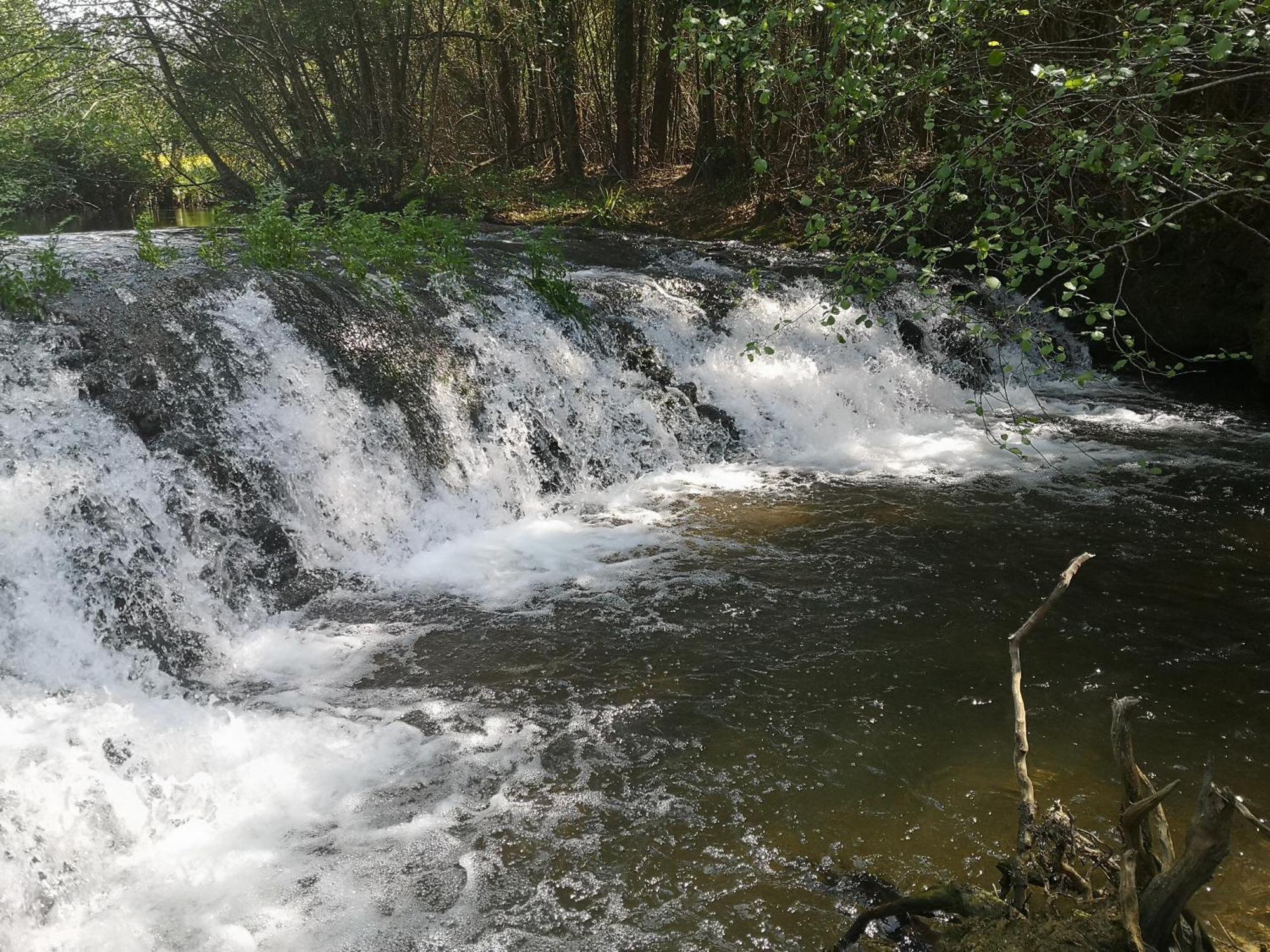 Quinta Das Aguias อาเวโร ภายนอก รูปภาพ