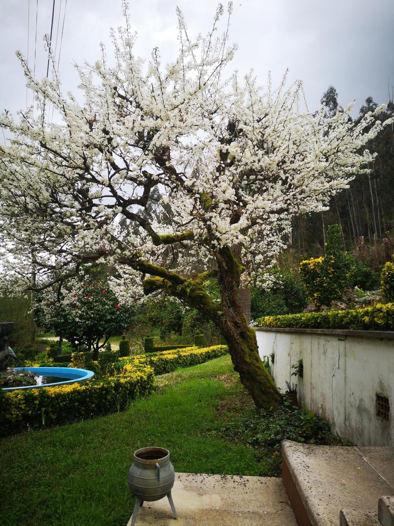 Quinta Das Aguias อาเวโร ภายนอก รูปภาพ