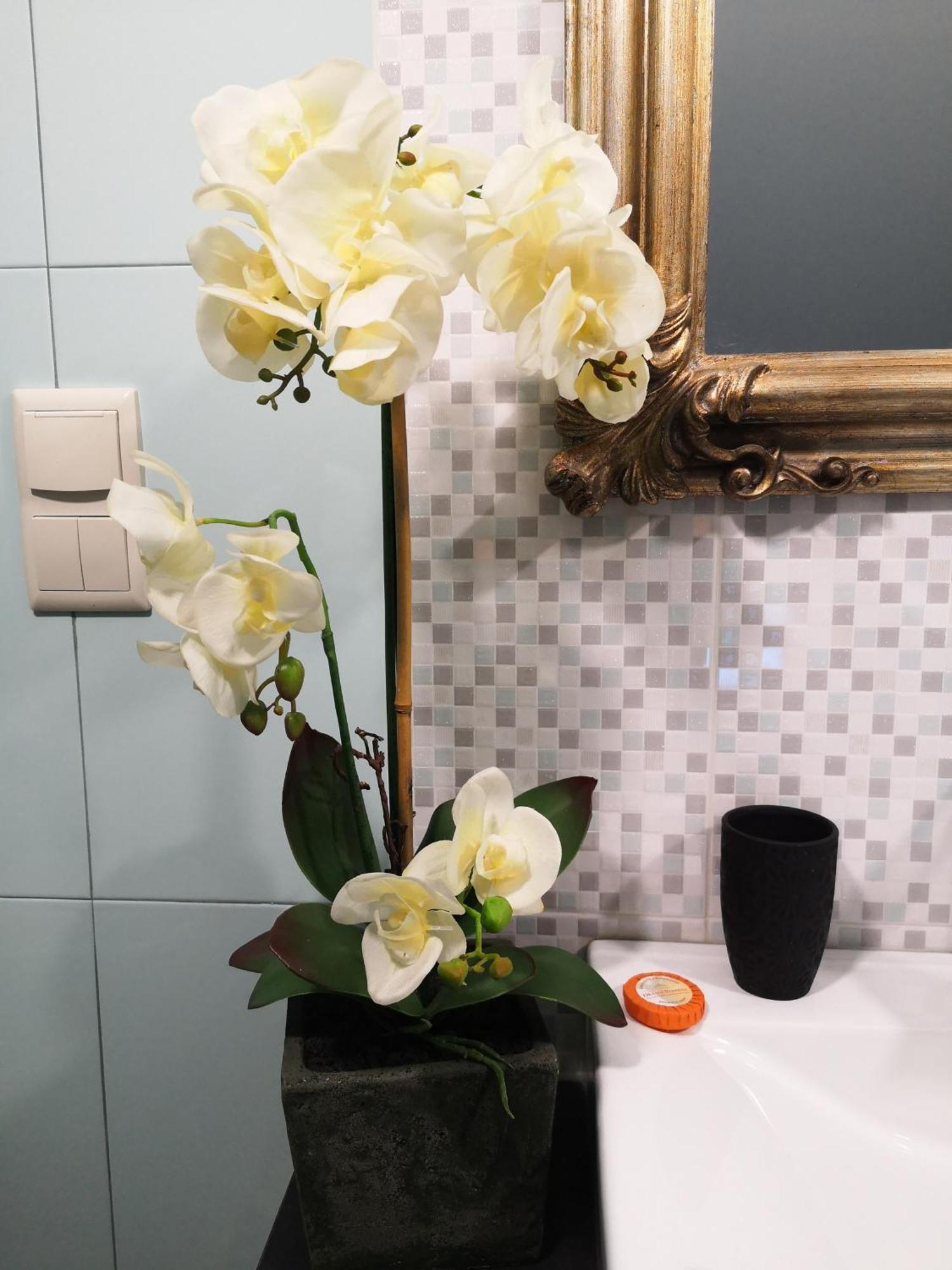 Quinta Das Aguias อาเวโร ภายนอก รูปภาพ