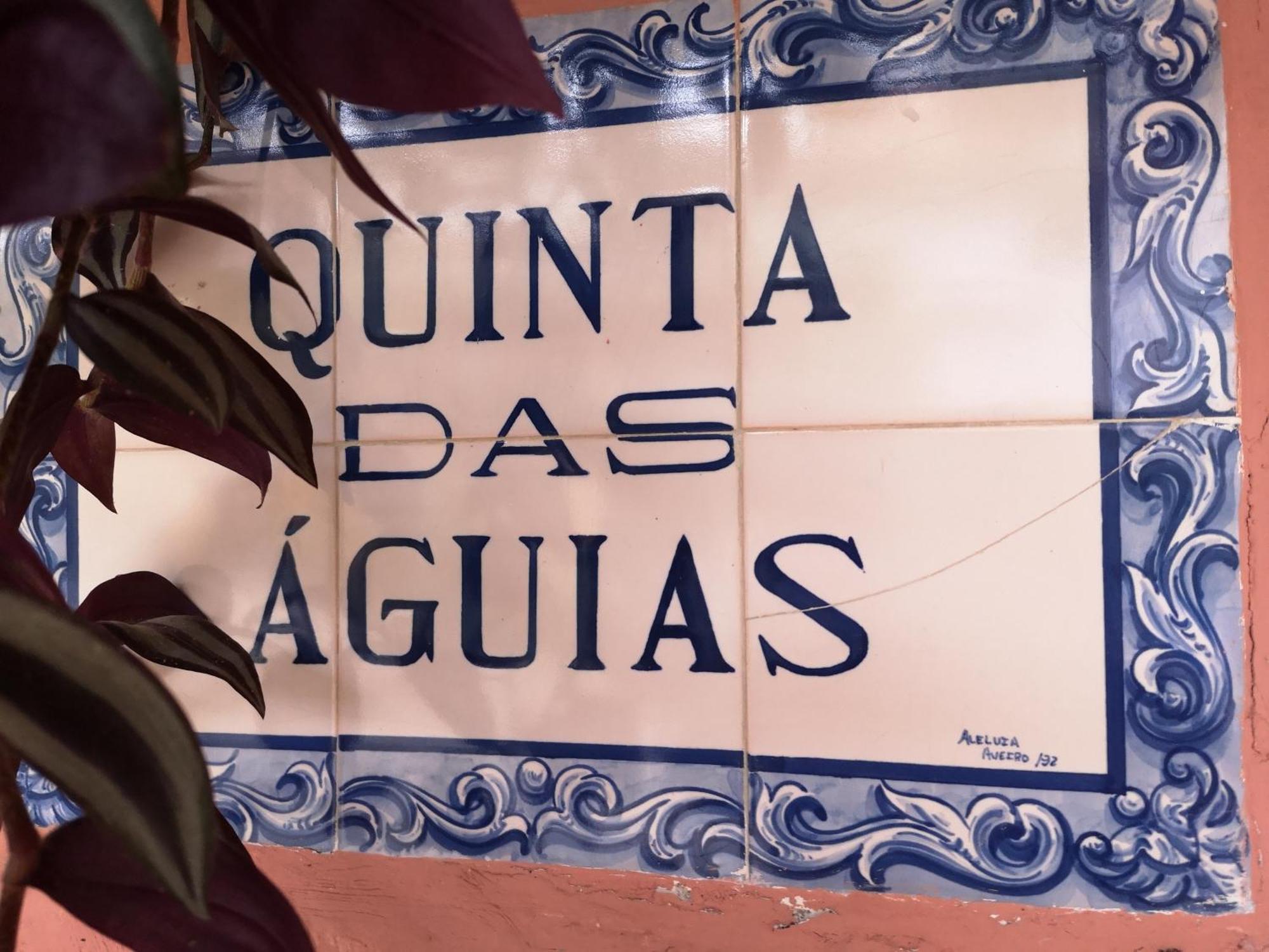 Quinta Das Aguias อาเวโร ภายนอก รูปภาพ