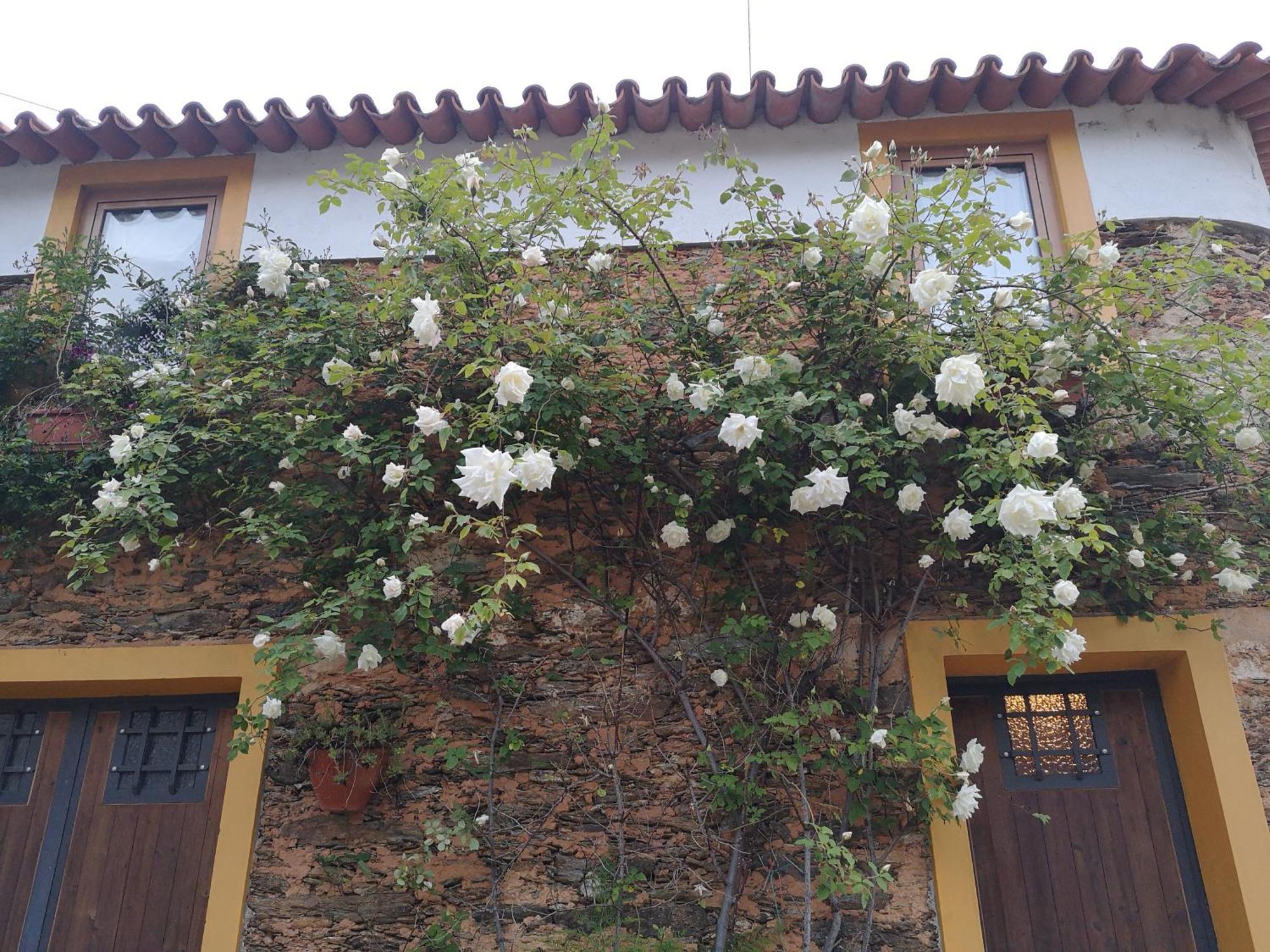 Quinta Das Aguias อาเวโร ภายนอก รูปภาพ