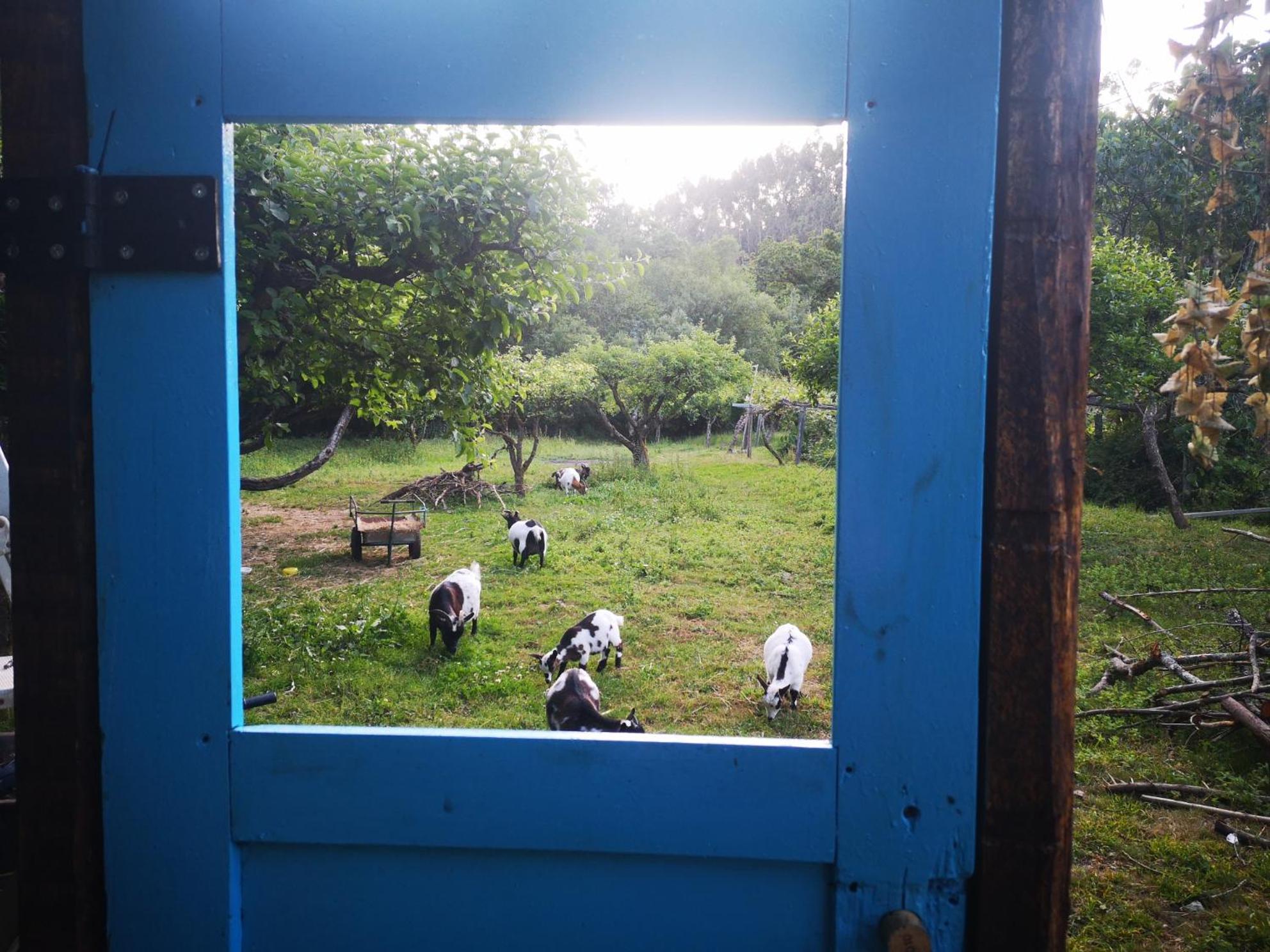 Quinta Das Aguias อาเวโร ภายนอก รูปภาพ