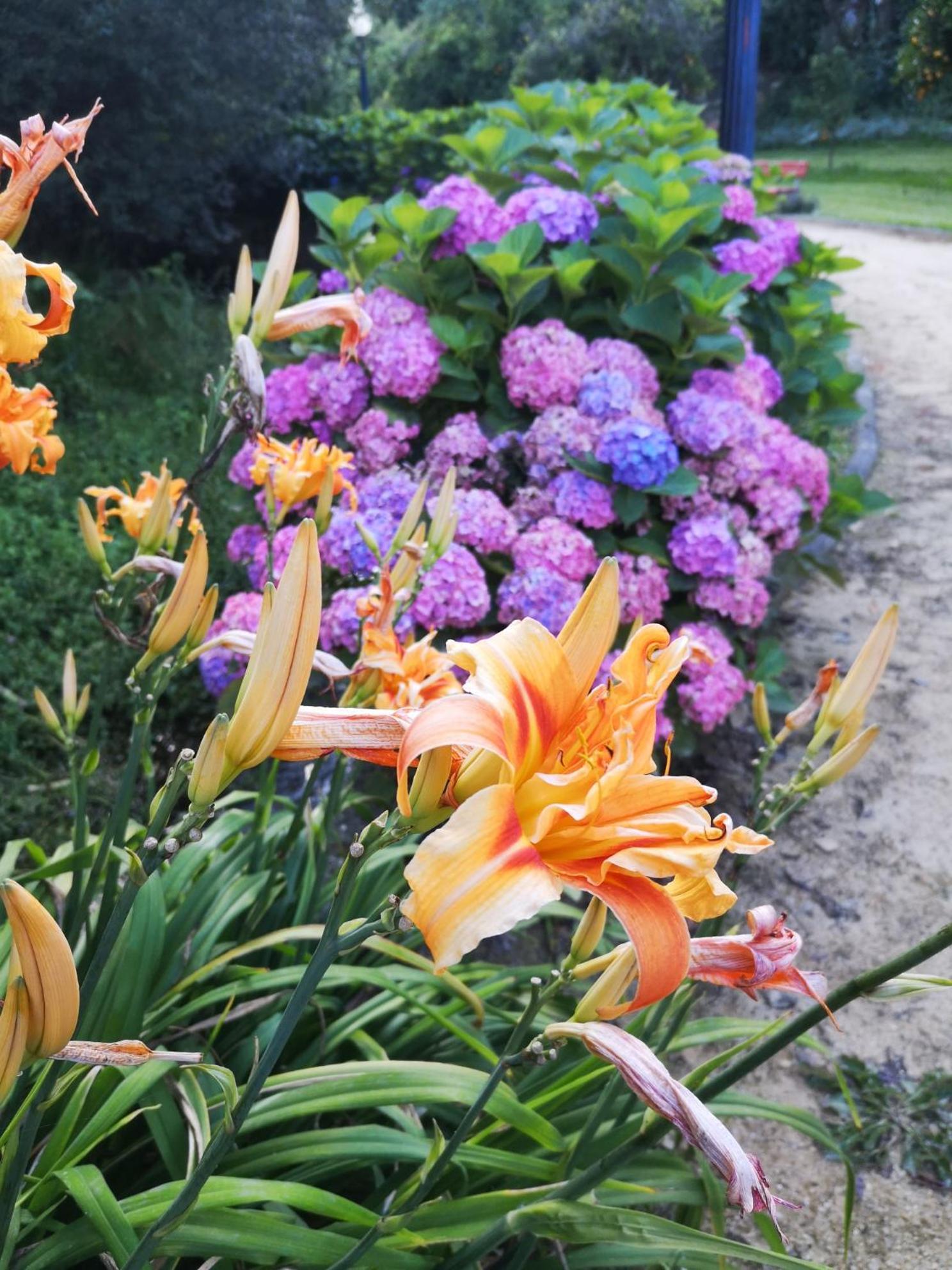 Quinta Das Aguias อาเวโร ภายนอก รูปภาพ