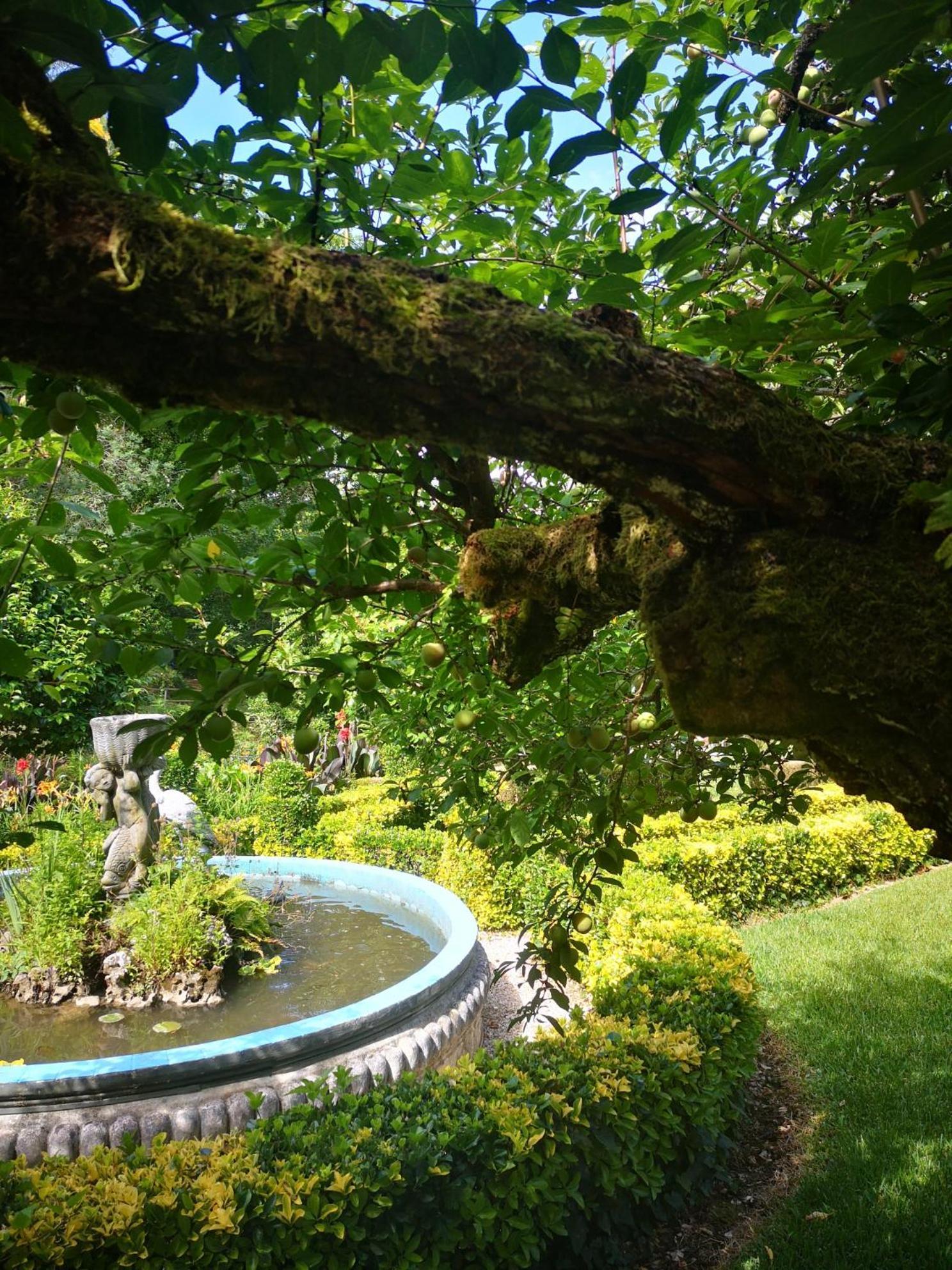 Quinta Das Aguias อาเวโร ภายนอก รูปภาพ